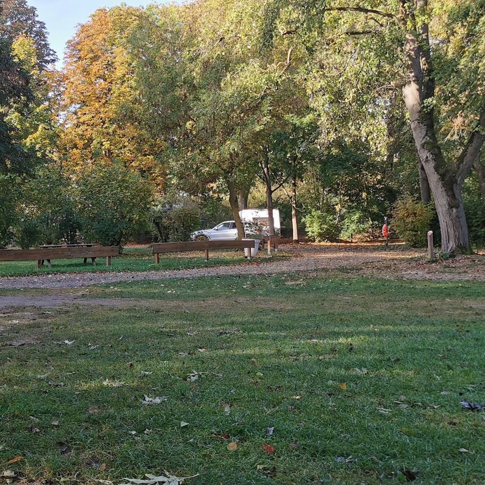A car in a grassy clearing with trees.